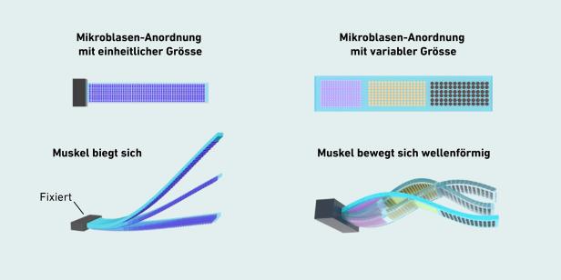 Grafik die den Einfluss der Anordnung und Größe der Poren zeigt