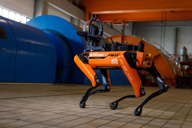 Der Energy Dog von Wien Energie.