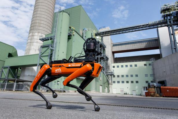 Der Energy Dog bei seinem Rundgang.