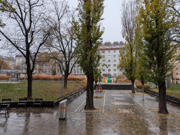 Google Pixel 10 Pro Fold: Beispielfoto mit der Hauptkamera