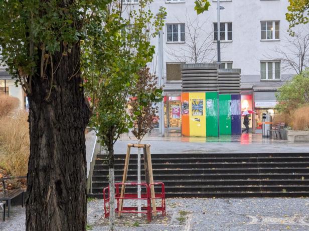 Google Pixel 10 Pro Fold: Beispielfoto mit dem 5x optischen Zoom