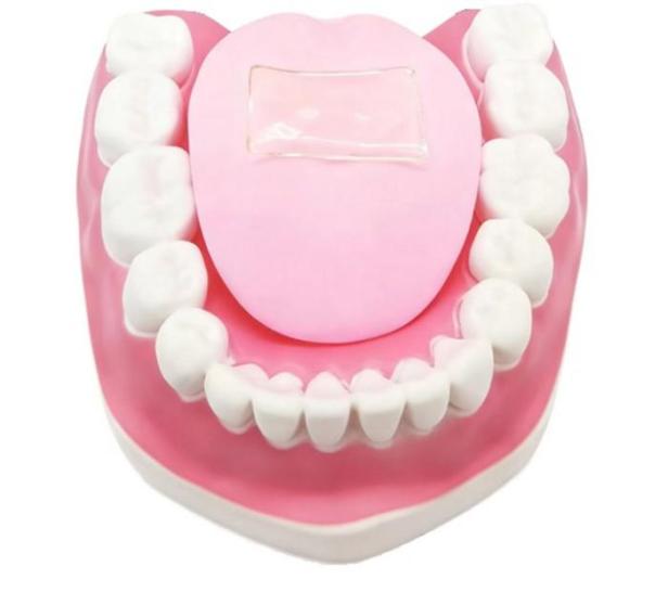 Das durchsichtigte Plättchen ist das Gel, das in eine Messstation eingespannt werden muss