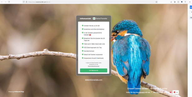Eine Übersicht über Vorteile und Bedingungen, wenn man Fotos über SwissTransfer sendet 