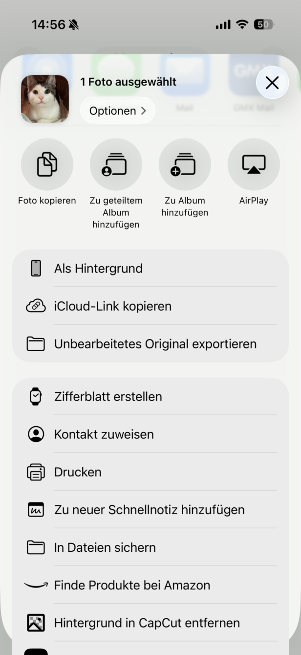 Man sieht ein ausgewähltes Foto und die Funktion iCloud-Link kopieren