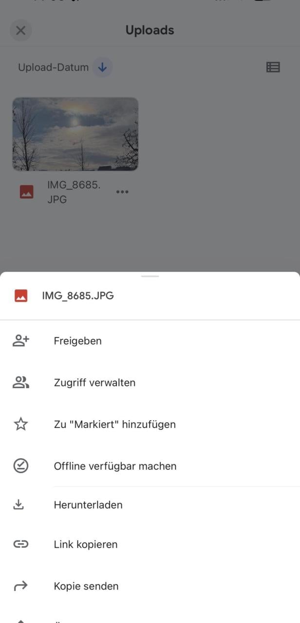 Man sieht die Optionen bei Google Drive, um Dateien zu teilen