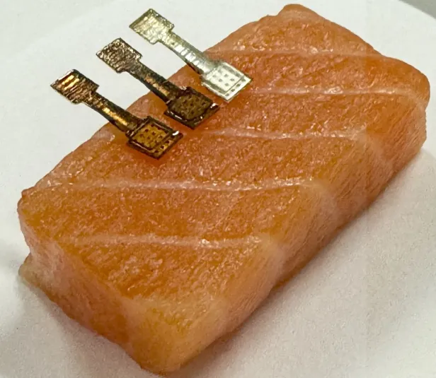 Ein Stück Lachs mit dem Sensor mit Mikronadeln 