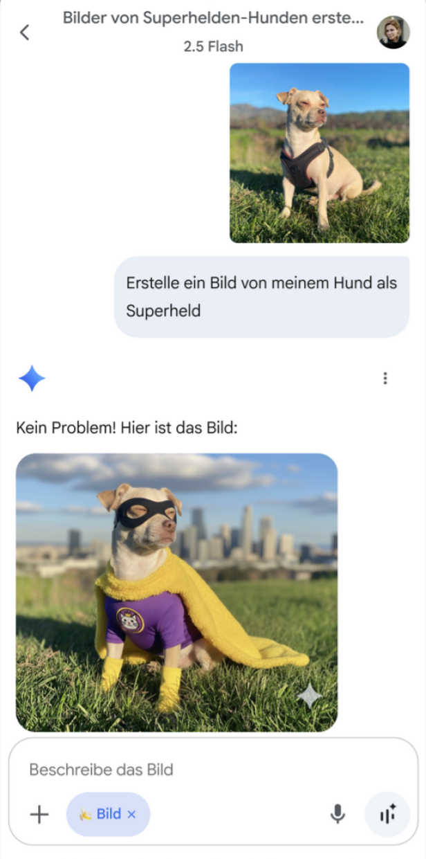 KI-generierte Bilder aus dem Chatbot von Gemini, Hund auf einer Wiese mit Maske und Cape