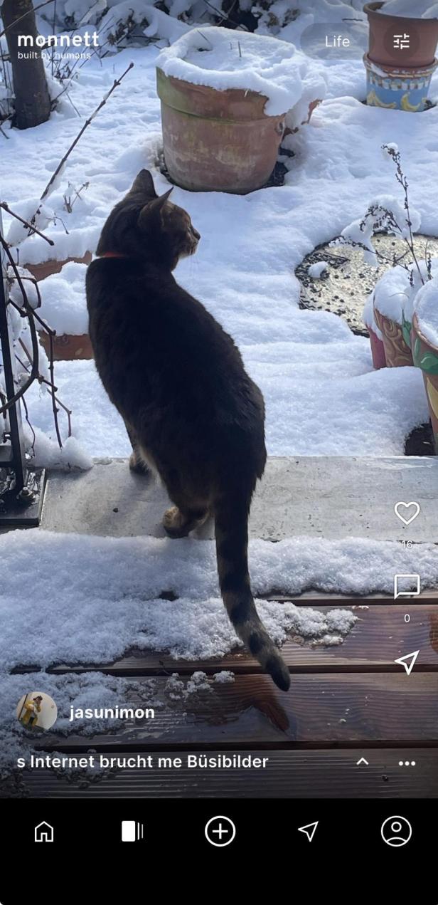 Post in Monnett, eine Katze steht auf einer Treppe, vor ihr ein verschneiter Weg
