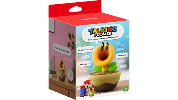 Die Plauderblume in einem Karton 
