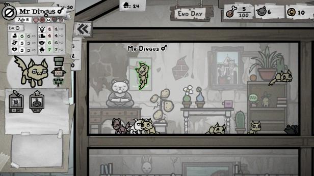 Mewgenics Katzenhaus
