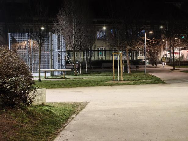 Nothing Phone (4a) Pro - Foto mit dem 3,5-fachen Zoom