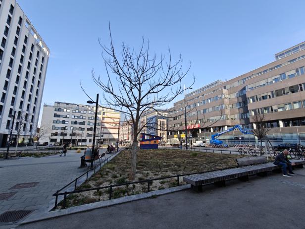 Oppo Find N6: Beispielbild mit dem Weitwinkel
