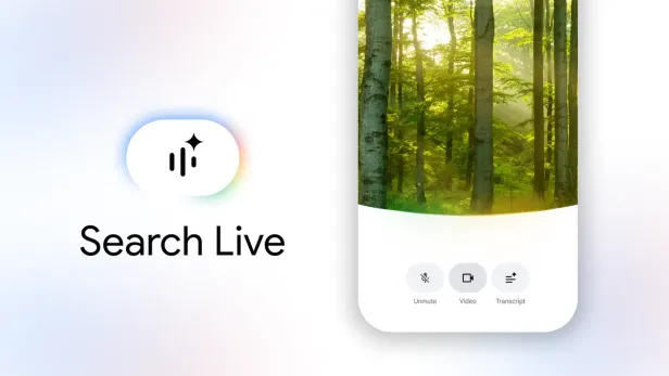 Search Live mit Waldbild.