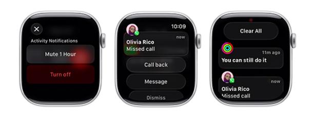 Benachrichtigungen auf einer Apple Watch