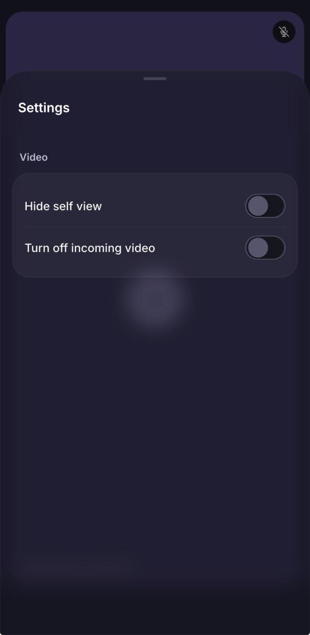 User Interface von Proton Meet