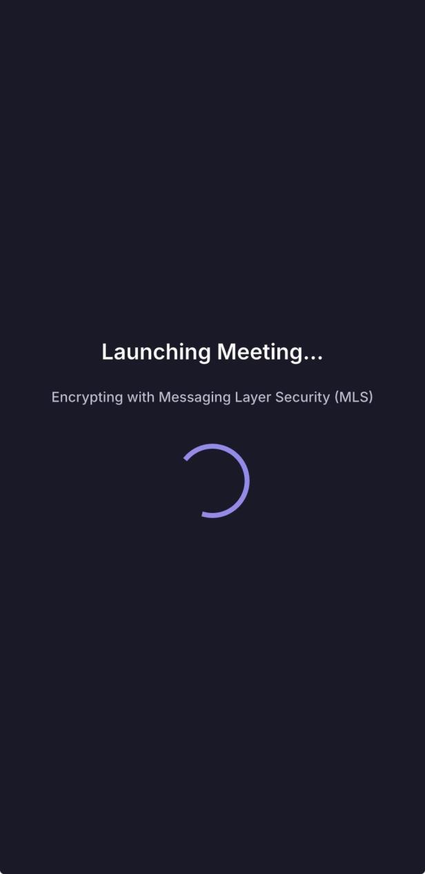 User Interface von Proton Meet