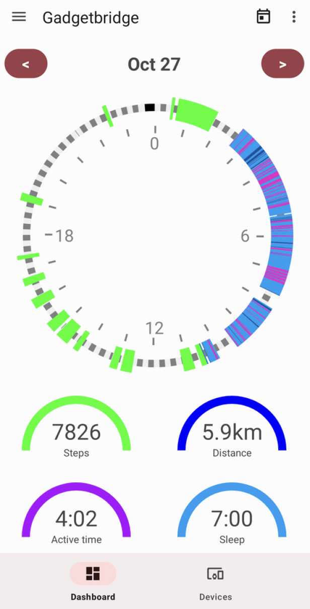 Auswertung von Fitness-Daten in GadgetBridge mit Schritten, Distant und Zeit auf einem 24-Stunden Kreis aufgezeichnet.