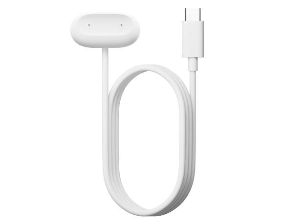 Google Fitbit Air