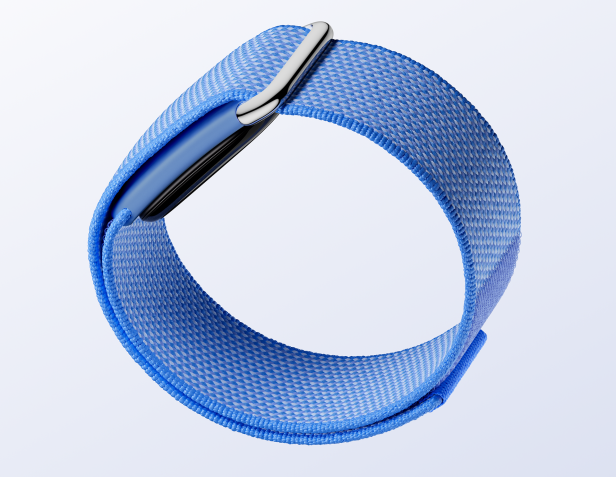 Google Fitbit Air