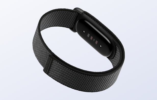 Google Fitbit Air