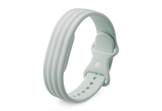 Google Fitbit Air