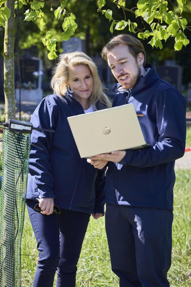 Eine blonde Frau und ein Mann mit braunen Haaren steehen neben einem Jungbaum und schauen sich am Notebook die Daten eines Feuchtigkeitssensors an