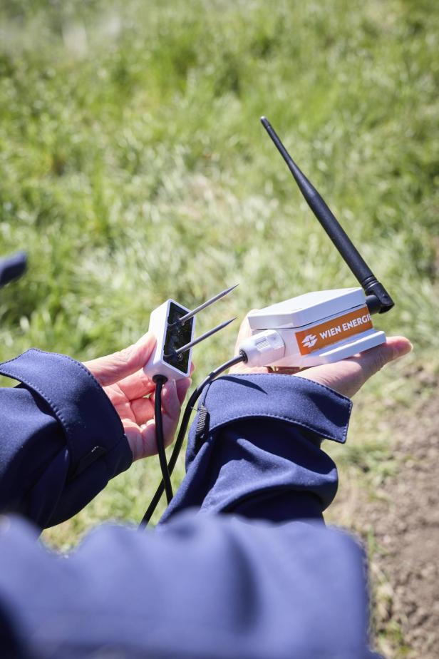 Eine Person hält einen Feuchtigkeitssensor mit Antenne von Wien Energie auf einer Wiese.