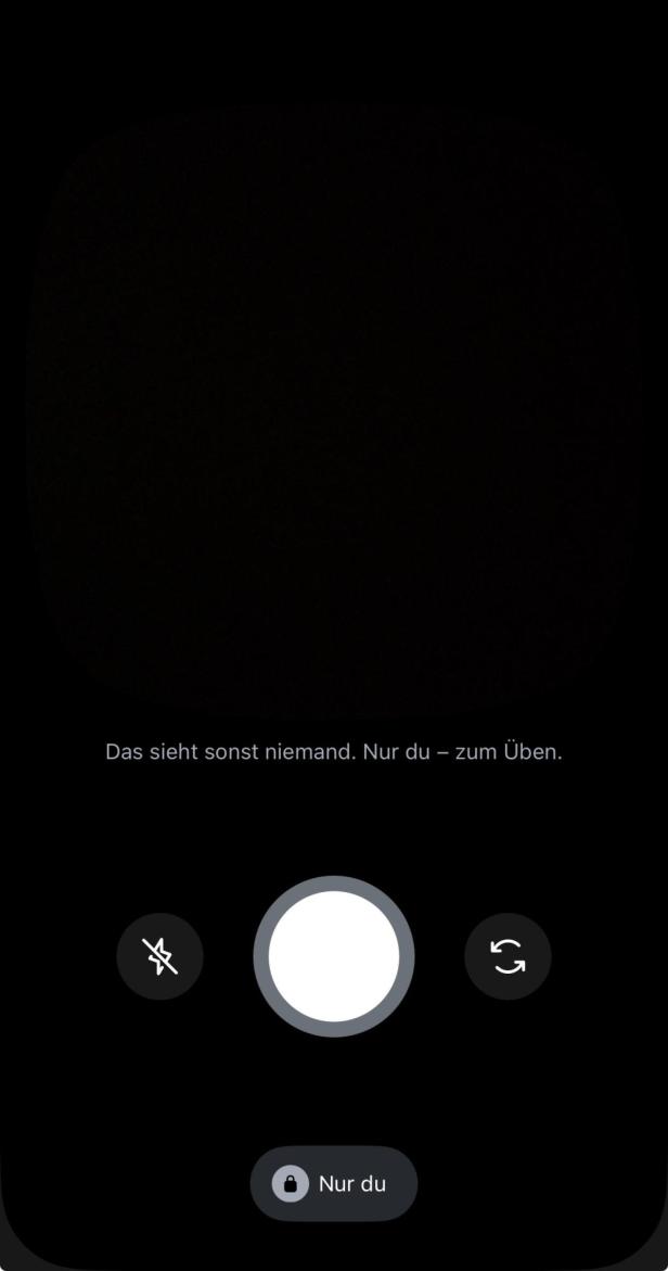 Aufnahmefenster von Instants mit Auslöser, Blitz und Button zum Kamerawechsel.