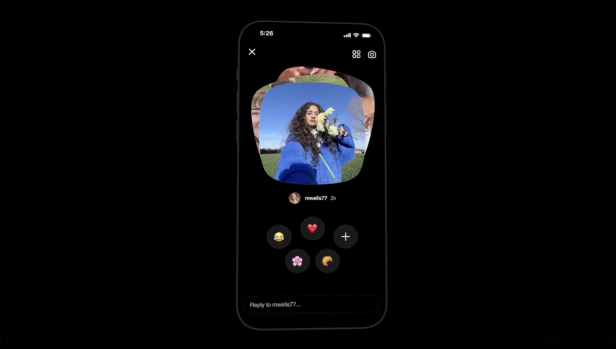 Erhaltenes Instant, mit dem Bild oben, darunter die Option zur Reaktion mit Emojis.
