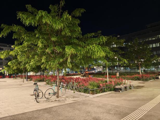 Xiaomi 17T Pro: Foto mit der Hauptkamera