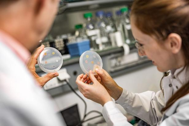 Mikroorganismen statt schädlicher Chemie