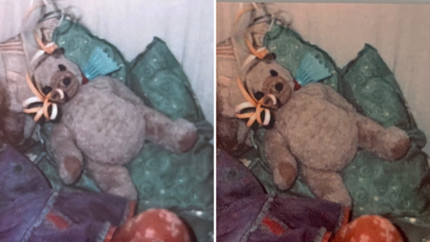 2 Scans von Teeddybär