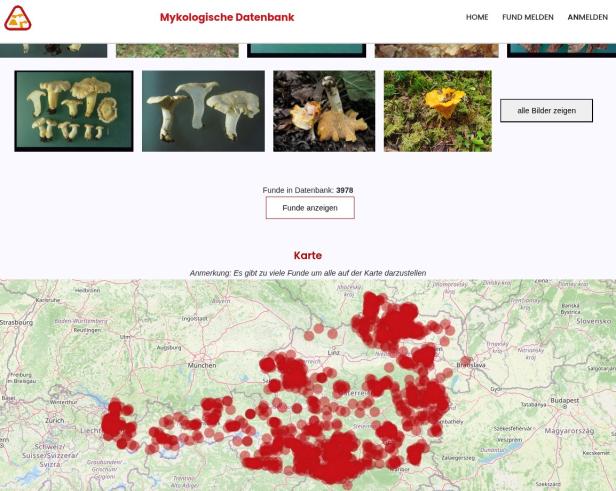 Mehrere Pilzartenfotos und eine Karte mit zahlreichen Pilzfunden in Österreich.