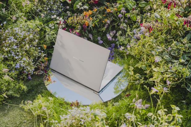 ASUS Zenbook S16 auf einem Spiegel, umgeben von bunten Blumen und grünem Pflanzenbewuchs.