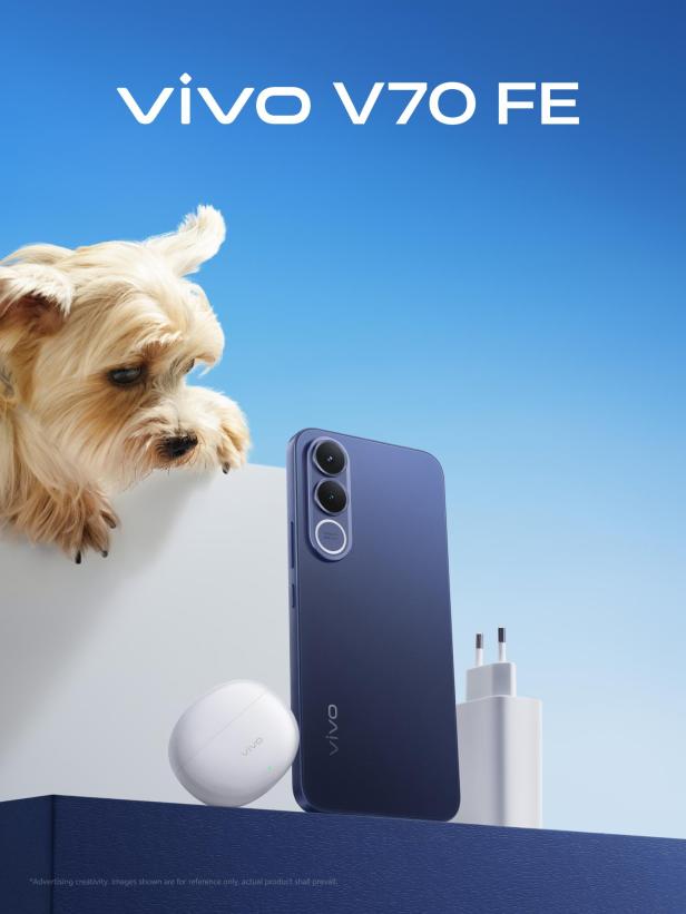 Yorkshire Terrier schaut auf das Vivo v70 FE