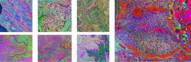 Mehrere farbige Satellitenaufnahmen zeigen unterschiedliche Landschaften, die mithilfe der Copernicus-Daten und der KI Tessera analysiert wurden.