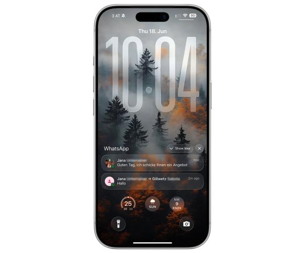 iPhone-Sperrbildschirm mit Wald-Hintergrund, Uhrzeit 10:04 und zwei WhatsApp-Benachrichtigungen.