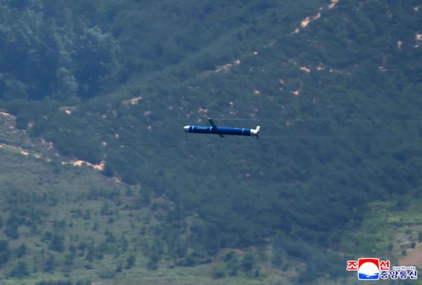 Eine blaue Rakete fliegt über bewaldete Berge.