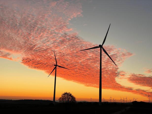 Tag des Windes: Windkraft Simonsfeld fordert mehr Rückenwind für leistbare und sichere heimische Energieversorgung