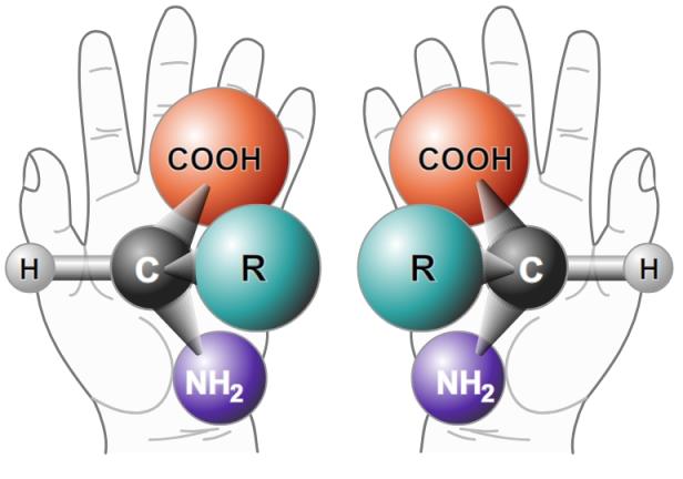 Zwei schematische Hände in denen chirale Moleküle abgebildet sind