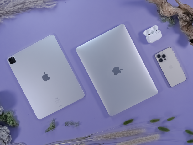 Ein iPad, ein MacBook, ein iPhone und AirPods liegen auf einem violetten Untergrund, dekoriert mit Trockenblumen und einem Stück Treibholz.