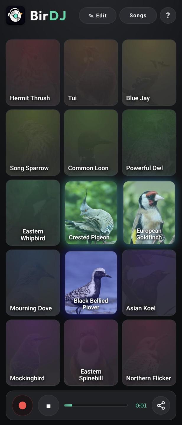 Bird-DJ-Oberfläche mit Vogelarten-Kacheln und Musiksteuerung.
