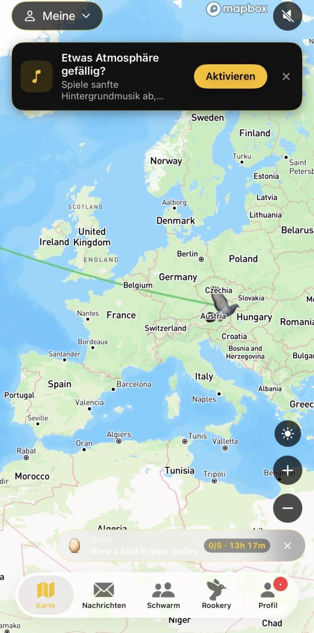 Weltkarte in Roost Social mit Übersicht zu zurückgelegten Strecken der Tauben.