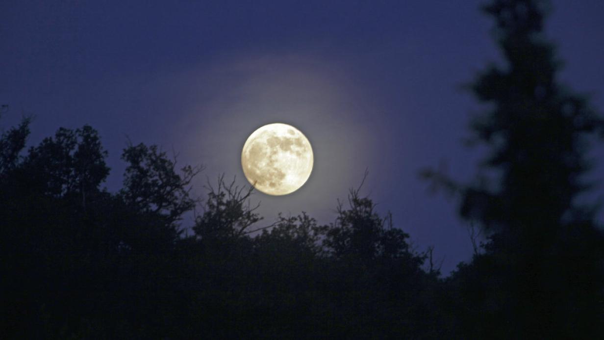 Langster Vollmond Von 2021 Steht An