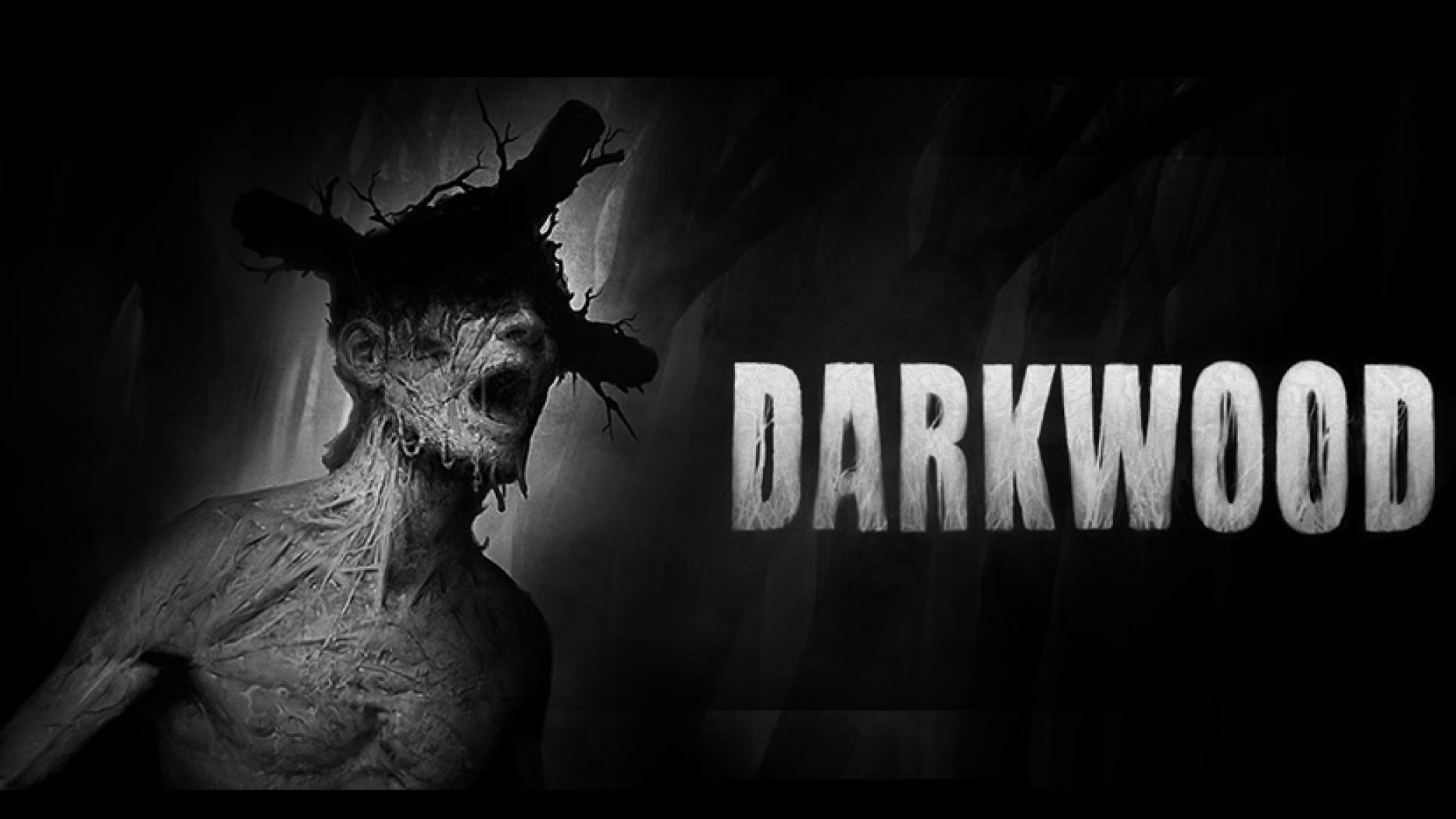 Acid wizard studio. Dark Wood game. Darkwood главный герой.