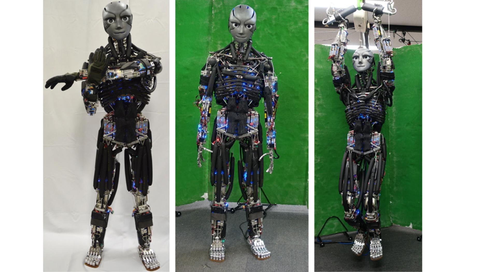 Обычного человека сделают роботом. Робот андроид. Человекоподобный робот. Гуманоидный робот. Современные роботы.