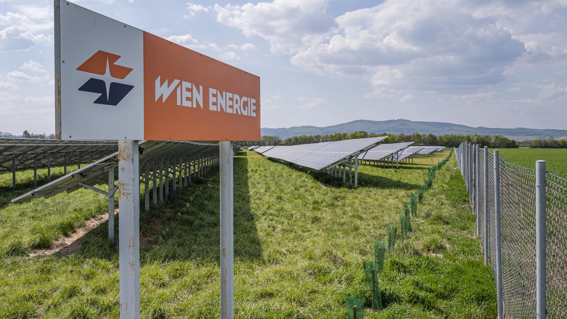 Wien Energie Baut Größte Photovoltaik-Anlage Österreichs