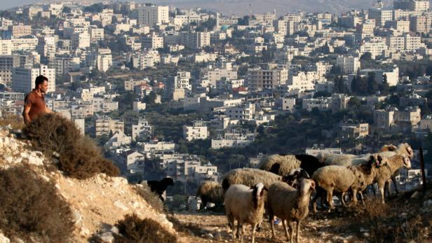 epa03823530 epa03823516 A Palestinian shepherd is seen in the southern part of the Israeli Gilo neighbourhood backdropped by the West Bank village of Beit Jala near the city of Bethlehem, West Bank, 13 August 2013. Israel has given approval for another 900 housing units in the southern part of the Israeli Gilo neighborhood near the Palestine village of Beit Jala. EPA/Abir Sultan EPA/Abir Sultan