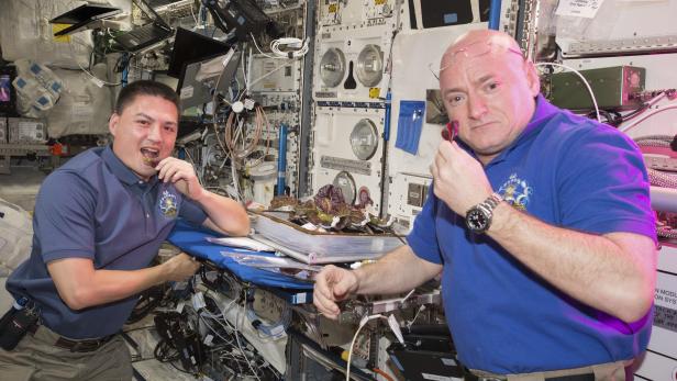 Die Astronauten Kjells Lindgren und Scott Kelly (re.) beißen erstmals in einen im All gewachsenen Salat