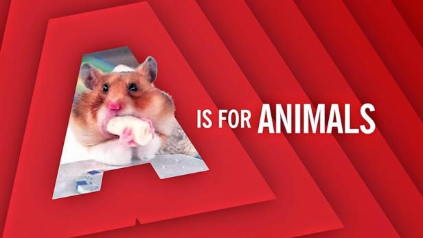 A wie Animals: Die erste Playlist zu YouTubes zehnjährigen Jubiläum